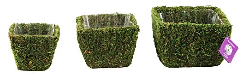 Super Moss 55000 Deco Square Basket, Small, Pack of 3