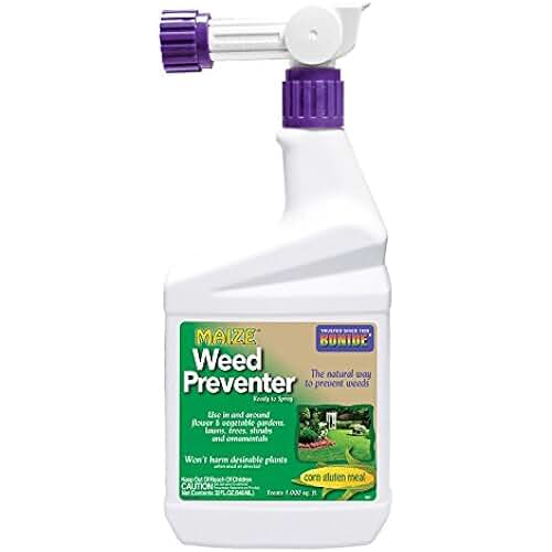 corn gluten pre emergent