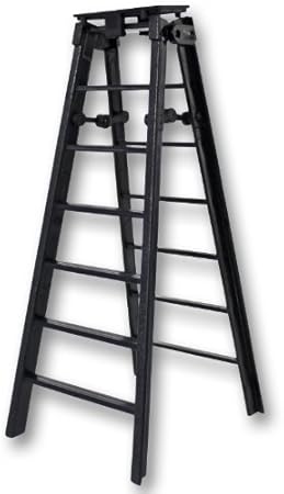 wwe action figure ladder