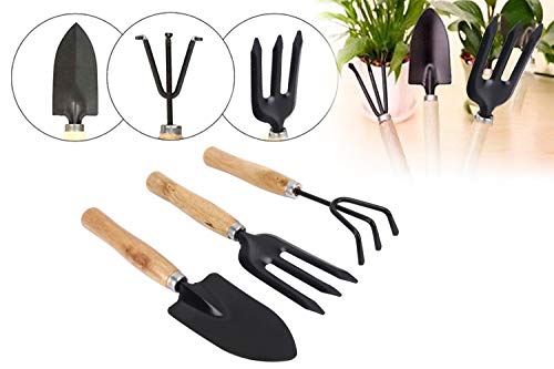 DeoDap 3Pcs Gardening Tools kit for Home | Hand Cultivator | Hand Trowel | Garden Fork | Gardening Set with Smooth Finish, Durable and Sturdy Wooden Handles with Rust Free Material | Set of 3pcs | 5 DeoDap 3Pcs Gardening Tools kit for Home | Hand Cultivator | Hand Trowel | Garden Fork | Gardening Set with Smooth Finish, Durable and Sturdy Wooden Handles with Rust Free Material | Set of 3pcs | - Image 5