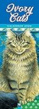 Ivory Cats Slim Calendar 2020 (Art Calendar) by 