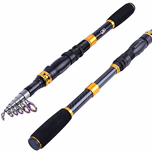 Best Telescopic Fishing Rods of 2020 Complete Reviews With Comparisons