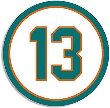 13 miami dolphins