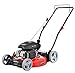 PowerSmart Lawn Mower, 21-inch & 170CC, Gas Powered Push Lawn Mower, 2-in-1 Gas Mower in Color Black, 5 Adjustable Heights (1.18''-3.0''), DB2321CR