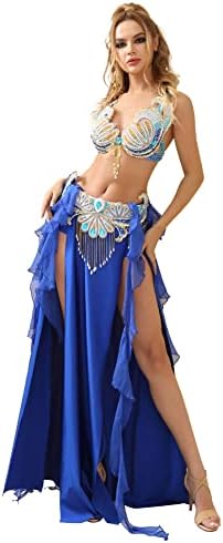 Amazon.com: Belly Dance Dress Belly Dance Costume Dancer Costumes