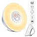 Alarm Clock/Wake Up Light-LBell Sunrise Simulation Alarm Clock, Clock Radio, 7 Colors Night Light with FM Radio, 7 Alarm Sounds and Snooze Function for Bedrooms with USB Charger