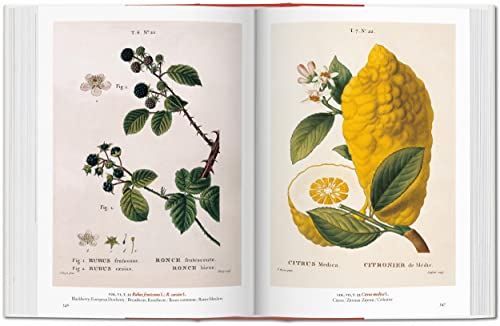 A Garden Eden. Masterpieces of Botanical Illustration. 40th Ed. 4