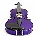 Mendini 16-Inch MA-Purple Solid Wood Viola with Case, Bow, Rosin, Bridge and Strings
