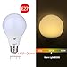 E27 or E26 LED Dusk to Dawn Sensor Light Bulbs Built-in Photosensor Detection Auto Switch Light Indoor/Outdoor Lighting Lamp for Porch Hallway Patio Garage (9W 810Lumens, Warm White 3000K)
