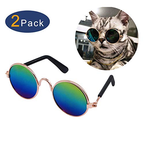 Sunglasses For Cats TOPRated Best Sunglasses For Cats