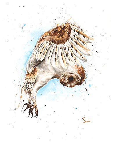 Amazon Com Flying Barn Owl Print Watercolor Owl Painting Owl