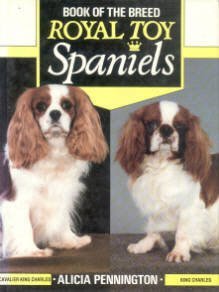 royal spaniel dog