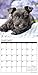 Just Scotties 2017 Wall Calendar (Dog Breed Calendars)