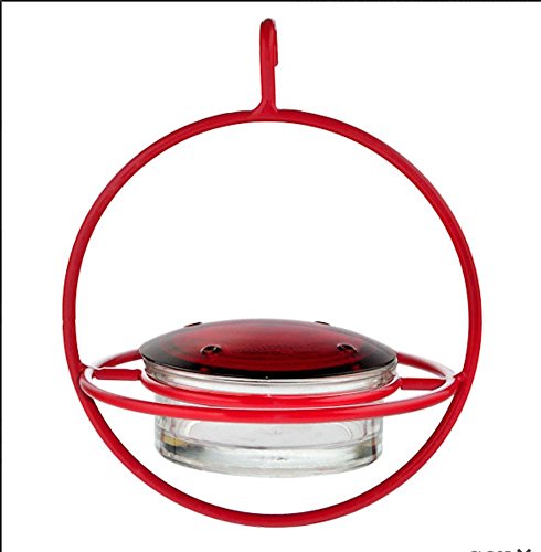 Recycled Glass Circle Hummingbird Feeder