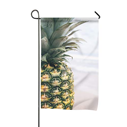 Christopher Macadam Pineapple On Sea Beach Seasonal Lawn Yard House Garden Flags 12 X 18 All-Weather Polyester Emblemize