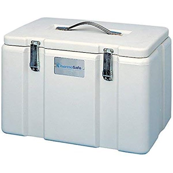 dry ice insulated bag