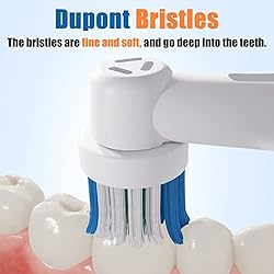 8 Pcs Replacement Toothbrush Heads Compatible with