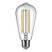 LIGHTSTORY LED Edison Bulb ST18, E26 Base 2200K Non-dimmable Decorative Vintage LED Bulb (3W=40W)