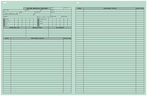 Pet Medical Record Form - Feline, Green 8-1/2" x 11" (Pkg of 250)