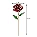 PREUP Love Forever Beautiful Long Stem Gold Foil Trim Red Rose Flower Best Gift (Red)