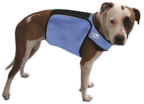 TechKewl Phase Change Cooling Dog Coat, Large/X-Large, Blue
