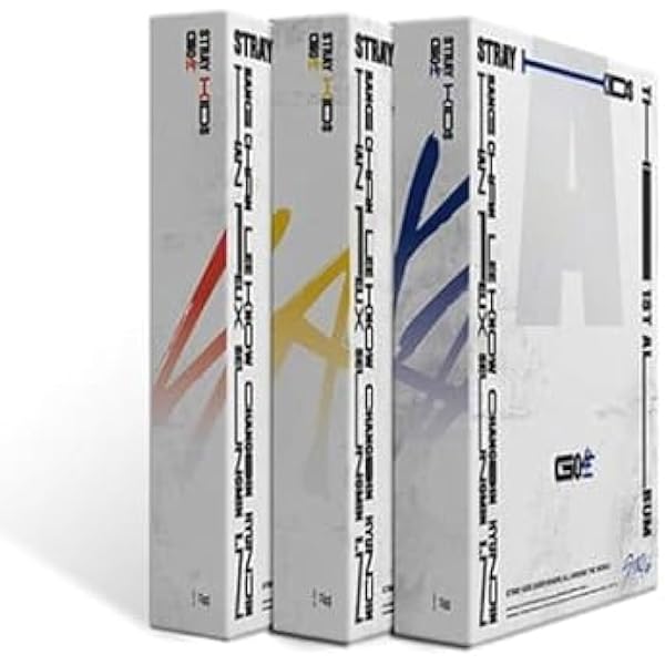 STRAY KIDS - GO standaard (Vol.1) album extra set fotokaarten (willekeurig ver