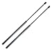 ARANA 6601 Gas Charged Rear Glass Window Struts Lift Supports for Jeep Grand Cherokee 2005-2010