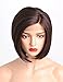 AIVA Glueless Bob Synthetic Lace Front Wigs for Women Side Part Natural Synthetic Hair Replacement Brown Wig (Brown, 8 inch)