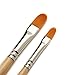 AIT Art Paint Brush Set - 14 Paint Brushes - Rounds, Flats, Angle Shaders, and Filberts - Handmade in USA for Trusted Performance with Oil, Acrylic, and Watercolor