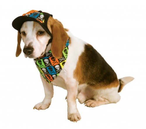 Rubies Costume Company Pet Neon Accessory Set