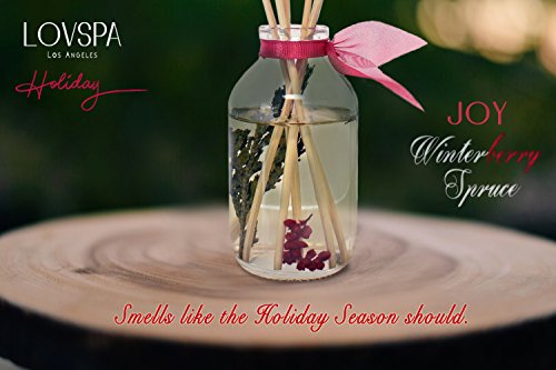 LOVSPA Joy Winterberry Spruce Luxury Reed Diffuser Oil Set | Wood Coaster Included | Cedar, Balsam, Berries and Spice Scented Oil | Rustic Winter Home Decor ~ Liquid Potpourri