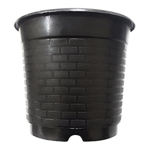 Unique Plastic Nursery Pot Set (4 inch, Black, 3-Pieces)
