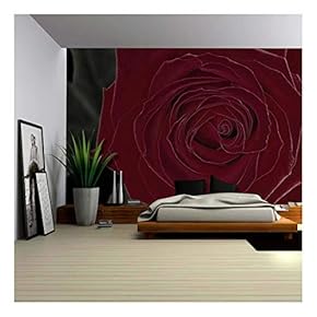 Green Leaves Behind a Beautiful Rich Red Rose - Wall Mural, Removable Sticker, Home Decor - 66x96 inches
