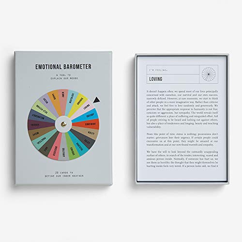 The School of Life - Emotional Barometer - A Tool to Explain Our Moods - Thumbnail 3
