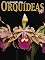 Livro O Mundo das Orquídeas: Edição 6