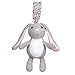 Apple Park Organic Picnic Pals Stroller Toy - Bunny