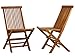 Bare Decor Vega Golden Teak Wood Outdoor Folding Chair (Set of 2)