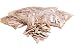 PORTER-CABLE 5552 20-by-52-Millimeter No. 10 Biscuits, 1,000-Pack primary