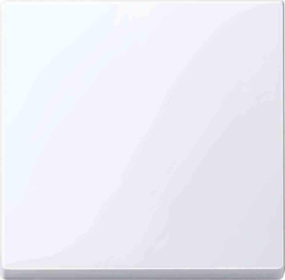 Merten System M 432125 Rocker Switch Glossy Active White