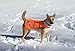 SafetyPUP XD Reflective Dog Vest. Hi-Visibility, Fluorescent Blaze Orange Dog Vest Helps Protect Your Best Friend. Safeguard Your PUP from Motorists & Hunting Accidents, On or Off Leash. (Med)