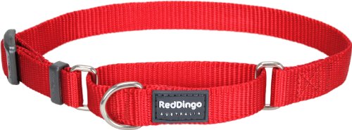 Red Dingo Classic Martingale Dog Collar, Small, Red