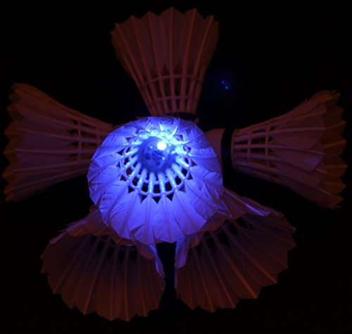 Inngree LED Badminton Birdies, LED Colourful Shuttlecock Dark Night Goose Feather Glow Birdies Lighting Outdoor Indoor Sport Activities (Colourful-6pcs)