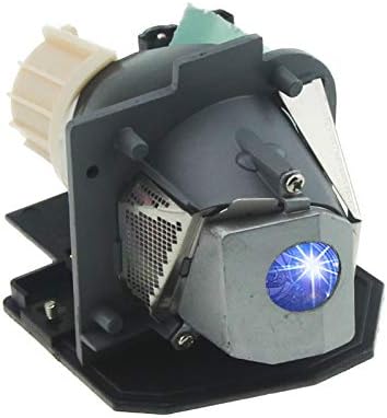 Lanwande SP.89F01GC01 / BL-FS180C Replacment Lamp With Housing For Optoma THEME-S HD640, THEME-S HD65, THEME-S HD700X, THEME-S ET700XE Projectors