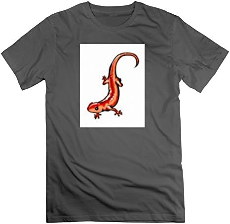 Xxx-large Regular Gray T-shirt For Men Cotton Speacial Salamander