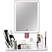 Light Up Vanity Makeup Mirror - LED Lighted Mirror with Acrylic Organizer Base and 10X Magnifying Mirror Ensures That Flawless Make Up Look