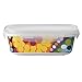 French Bull 3 Piece Porcelain Food Storage Container Set - Lunch, Airtight - Bindi