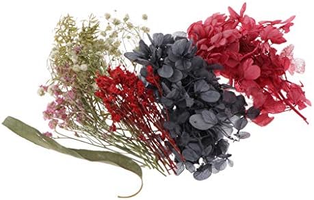 人気沸騰メーカー直送 のドライフラワー 花束 Dailymall ハンドメイド 草 B07ztw5mqg ハーバリウム 自然 Dailymall 新作製品 世界最高品質人気 車 バイク 花材 乾燥 アロマワックスバー 約g 正規品送料無料 100 品質保証 激安超特価