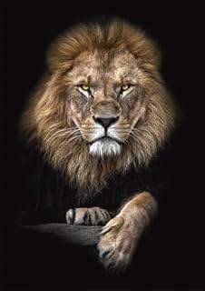 Livro Transforme Sua Vida com Disciplina O Guia Divertido para Alcançar Suas Metas e Celebrar Cada Conquista!