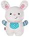 Fisher-Price Soothe & Glow Bunny