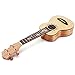 Donner Soprano Ukulele 21 inch，Beginners Ukulele for Adult，Satin Mahogany & Starter Kit - Online Lesson，Gig Bag，Strap Nylon Strin Tuner Picks Cloth Ukalalee Set DUS-3
